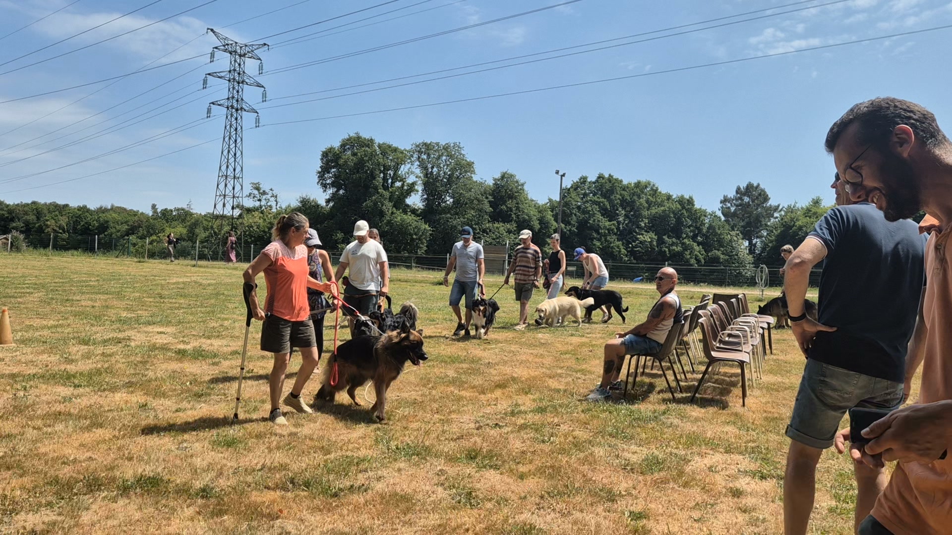 Club canin de Rédéné (29)