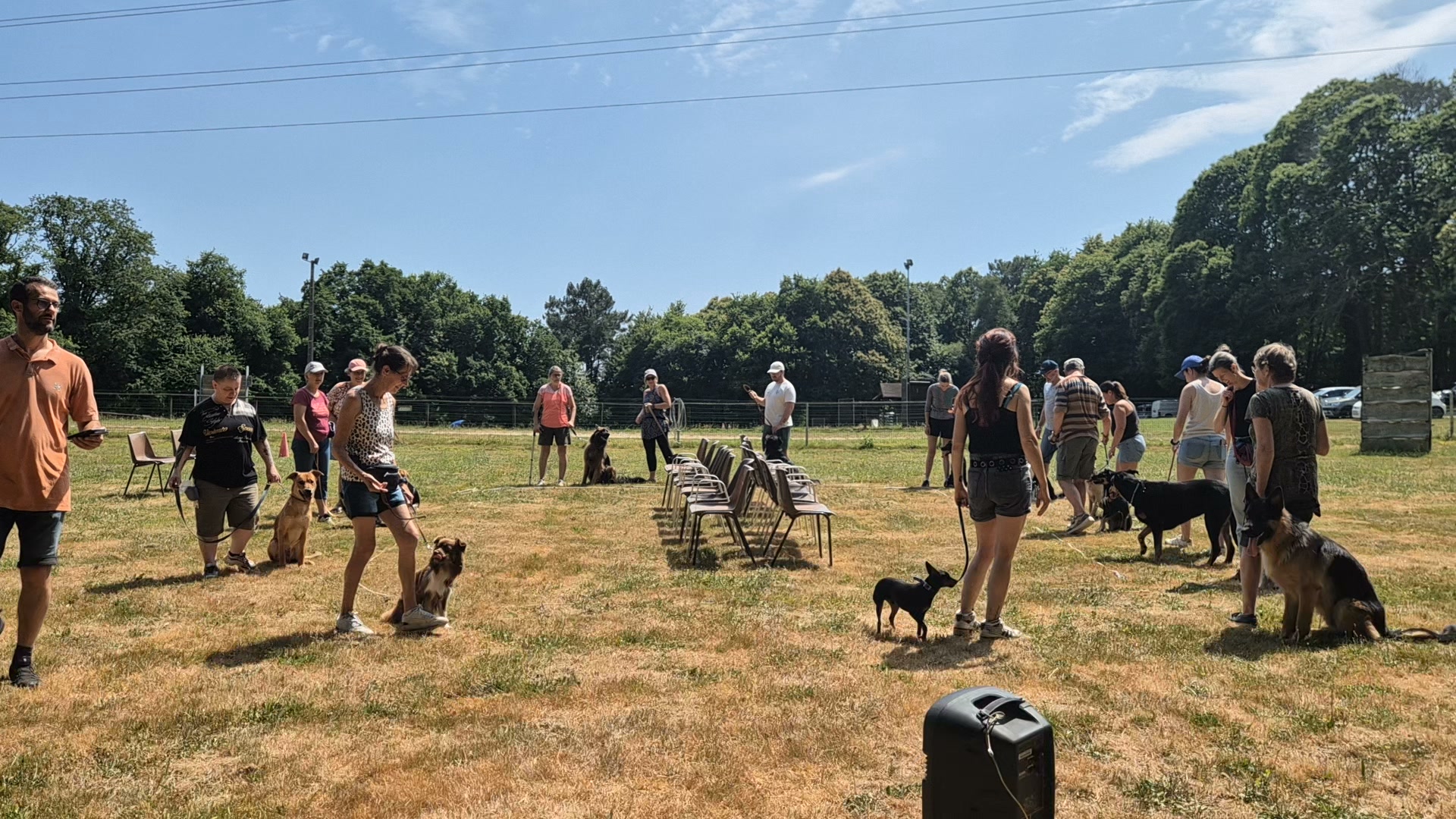 Club canin de Rédéné (29)