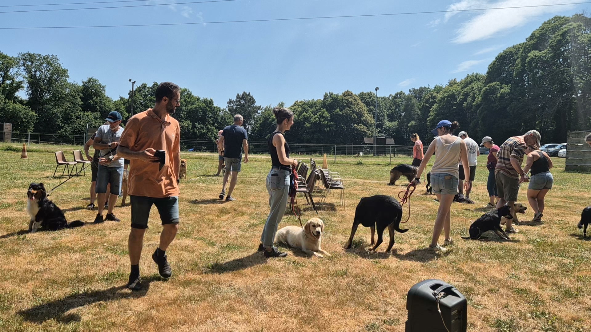 Club canin de Rédéné (29)