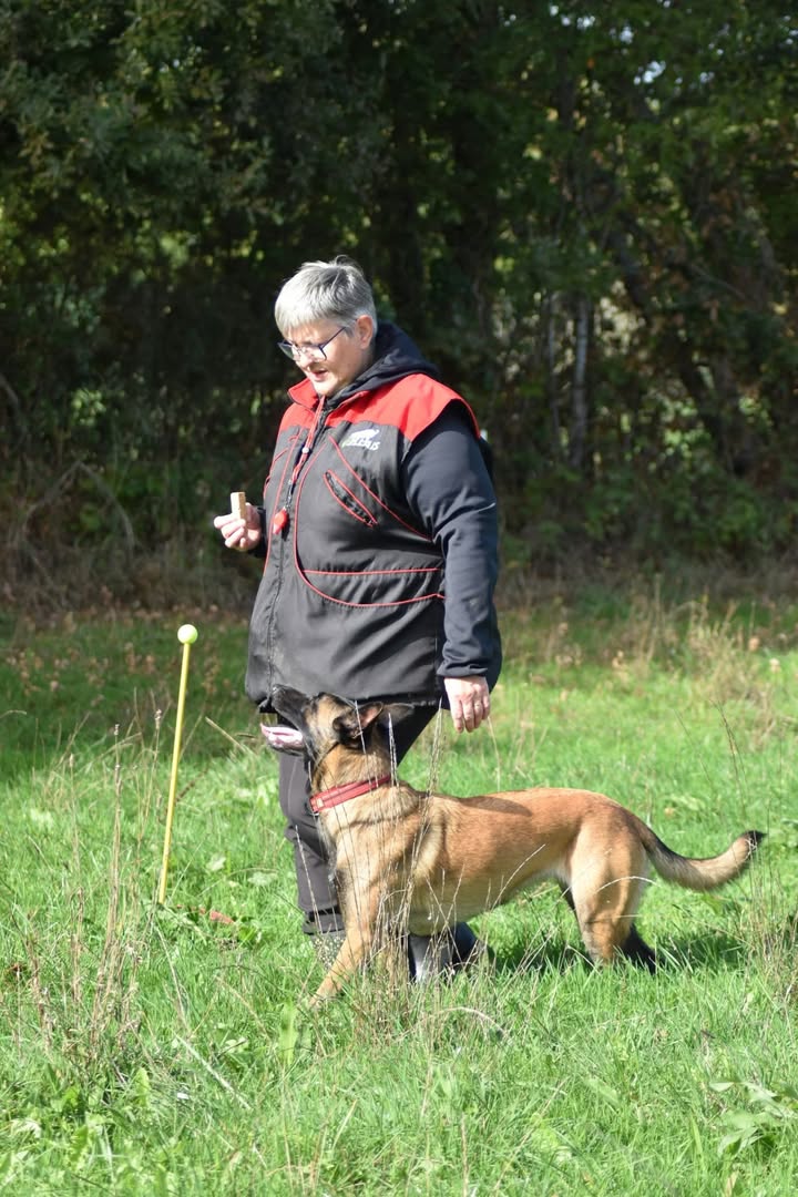 Club canin de Rédéné (29)